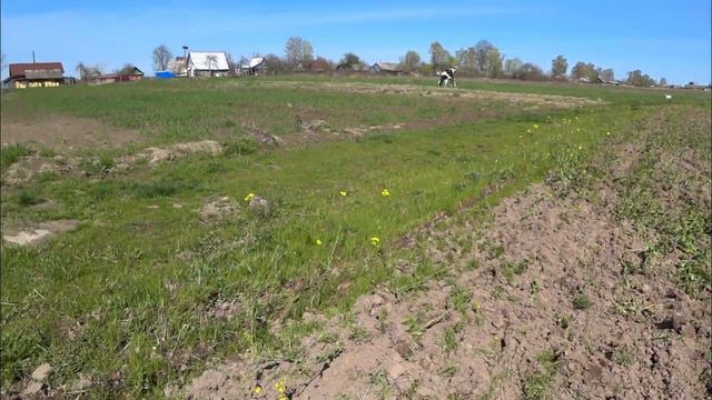 Просто суета! смотреть онлайн