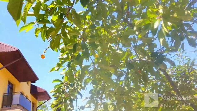 🌴ЛАЗАРЕВСКОЕ СОЧИ.ул.Победы 251 и прогулка к морю. А люди уже загорают и купаются!