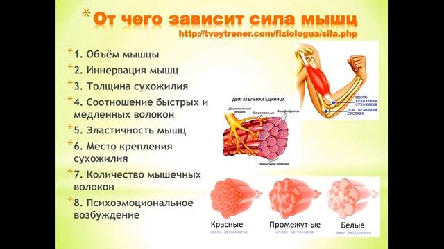 32 erakond i sport смотреть онлайн