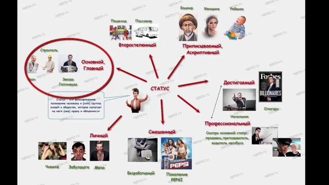 Социальный статус: понятие, виды, примеры