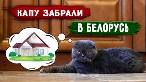 Капу забрали в Минск (Беларусь) она больше не злючка, там стала спокойнее и ласковее. Груминг!