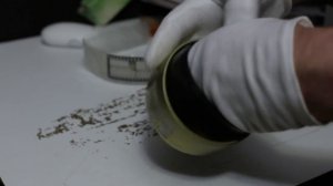 Как распрямить старую фотоплёнку