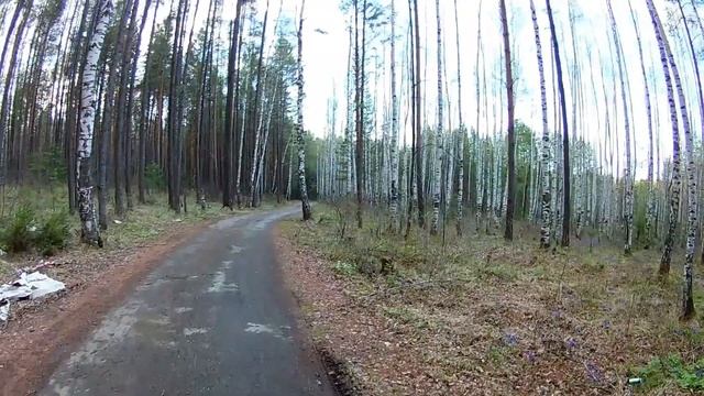 Майская прогулка по Нижнетуринскому водохранилищу/May walk in the Nizhneturinsk reservoir...