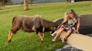 Best Fails of the Decade - FUNNY VIDEOS PART 3