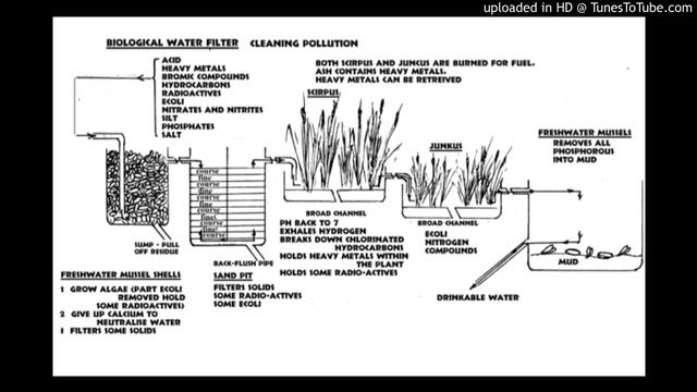 Biological Water Filter and Sewage Treatment - Bill Mollison