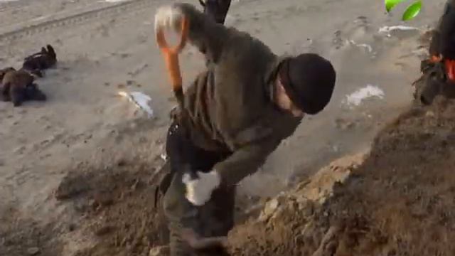 Учёные продолжают проводить экомониторинг на Ямале