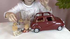 СЕМЕЙНЫЙ АВТОМОБИЛЬ.  SYLVANIAN FAMILIES.