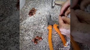 как расколоть фундук как почистить фундук чищу орехи лайфхак