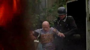 роза чайная,блин