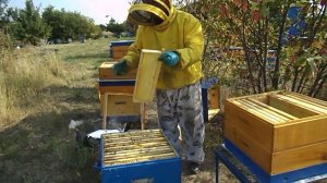 ОСУШКА МАГАЗИННЫХ РАМОК ....DRY stores FRAMEWORK ....