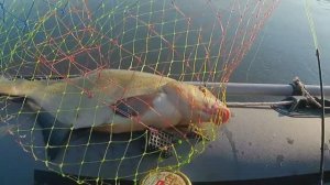 Вот это лещ!Ловля леща с лодки .Лещ2024