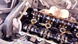 vortex estina жесть