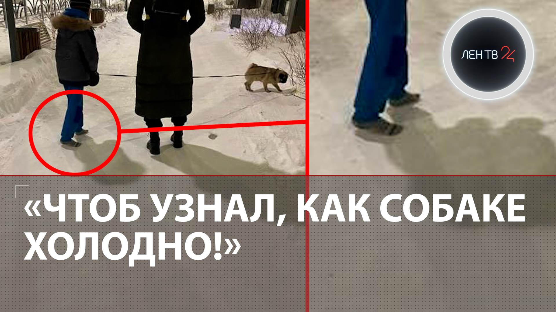 Босой ребенок гуляет в мороз: в Екатеринбурге мать решила жестко проучить сына из-за собаки