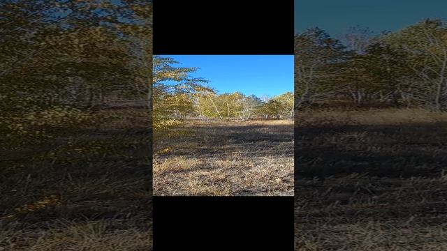20220921_092528.mp4
