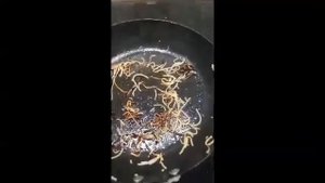 АНТИЖИР ОТ ЭРСАГ