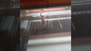 1000028440.mp4