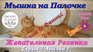 Жевательная Резинка. Мышка на палочке Серия 7-1 Кот Феня, он же Феникс