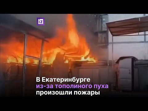 Тополиный пух спровоцировал пожары в Екатеринбурге
