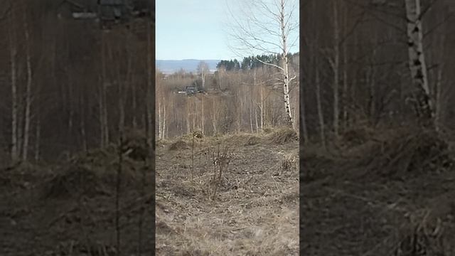 Первая вылазка на природу.