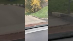 Что за звук в подвеске chevrolet lachetti ?