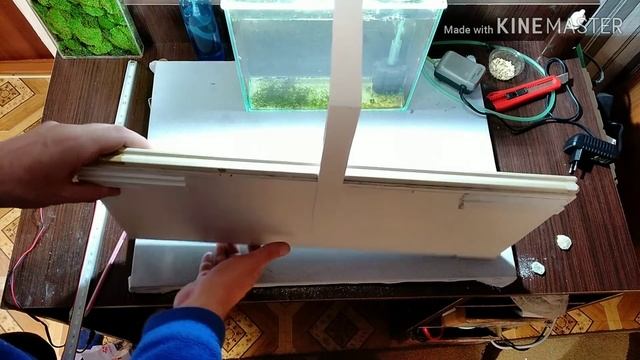 Картина из живого мха своими руками/Picture of live moss with your own hands