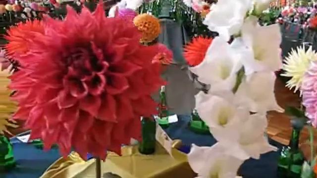 Dahlia & Gladioli Show 2010 B смотреть онлайн