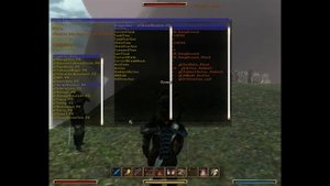 ?Как играть за другого персонажа в готике 3