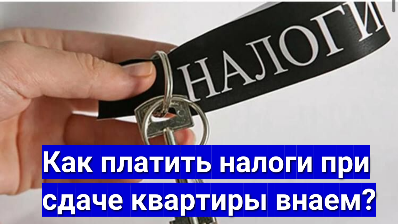 Сдача квартиры в аренду налоги как оформить