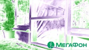 Аdvertising Реклама Китикет Kitekat Борис поймал пчелу In MegaFon Chorded