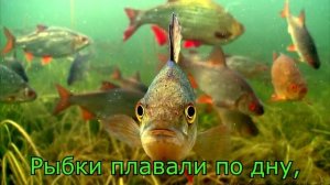 Учим стихотворение "Рыбки плавали по дну"