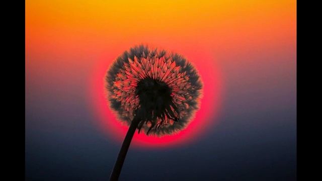 АЛ-ВАКИА. УСПОКАИВАЕТ ДУШУ! КРАСИВОЕ ЧТЕНИЕ КОРАН! Рамазан. Ислам. Суры из Корана. смотреть онлайн