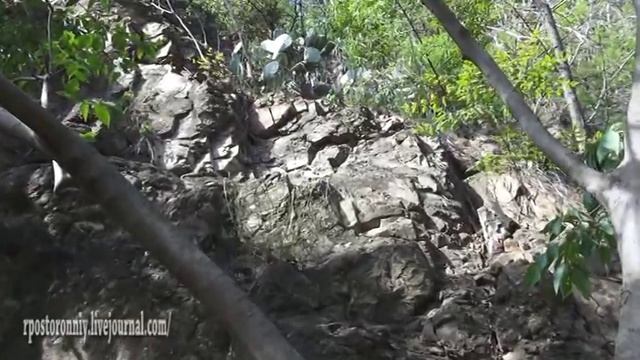 Тбилиси. Водопад в ботаническом саду смотреть онлайн