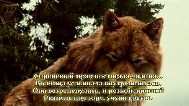 Стих "Волчица" Я - дома, родные волчата мои!.. Мона Клибанская смотреть онлайн