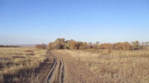 Исчезнувшая деревня Новая Маза, Вольский район.