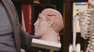 Доктор Мясников о смартфонах для детей