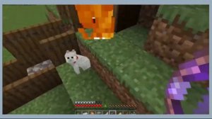 what happen if I use bow with curse of vanishing in Minecraft