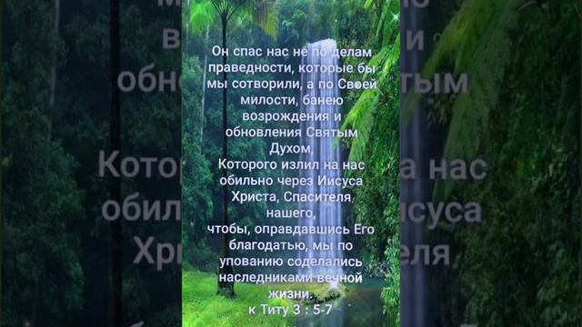 Доброй зимней ночи! смотреть онлайн