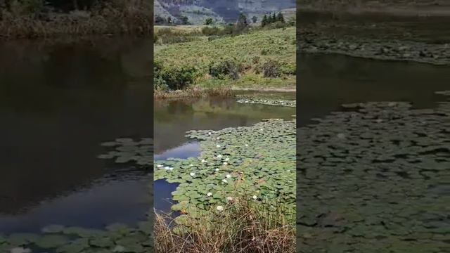 Beautiful Drakensburg 🇿🇦 #southafricatravelvlog #travel #adventuretravel