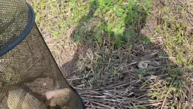 06-09-2023 смотреть онлайн