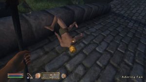 Day 367 - Killing Adoring Fan Every Day Until Elder Scrolls Skyblivion is Released