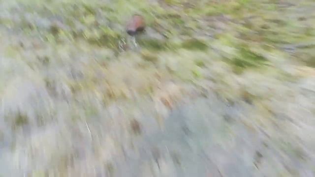 Гуляют по деревне смотреть онлайн