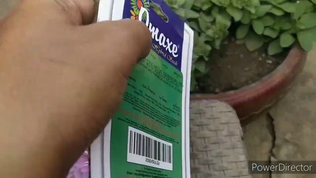 My summer flower and fruit plant seeds shoppingsummer seed haul