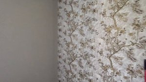 Почему заклеил обоями покрашенные стены?