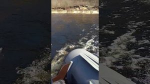 Лодка флагман 350 нднд, лодочный мотор ямаха 15л.с