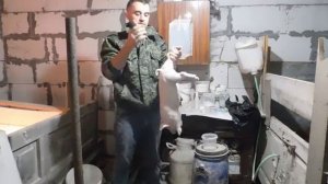 Как сделать укол поросёнку.