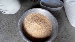Как сэкономить и сделать комбикорм для бройлеров своими руками.