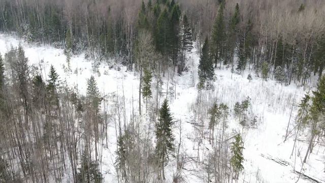 Экономика VS Экология смотреть онлайн