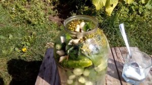 Солим огурцы. ПРОСТО И ВКУСНО