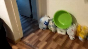 Как живёт средний класс в России.