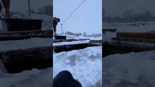 Платная рыбалка, пруд Чёрные камни 18.12.21. Запуск форели и осетра. смотреть онлайн